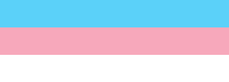 Trans flag